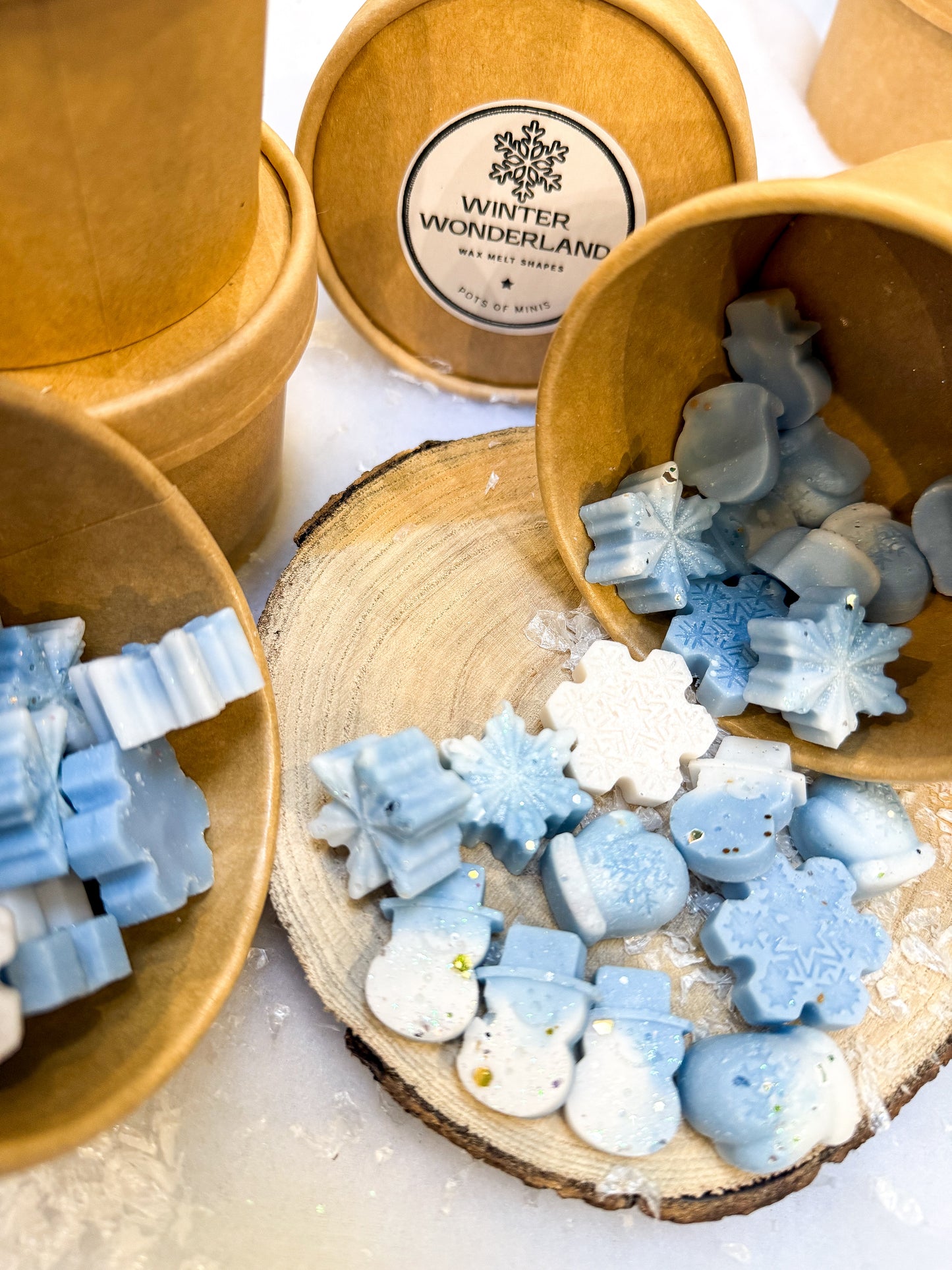 Winter Wonderland Pot of Mini's