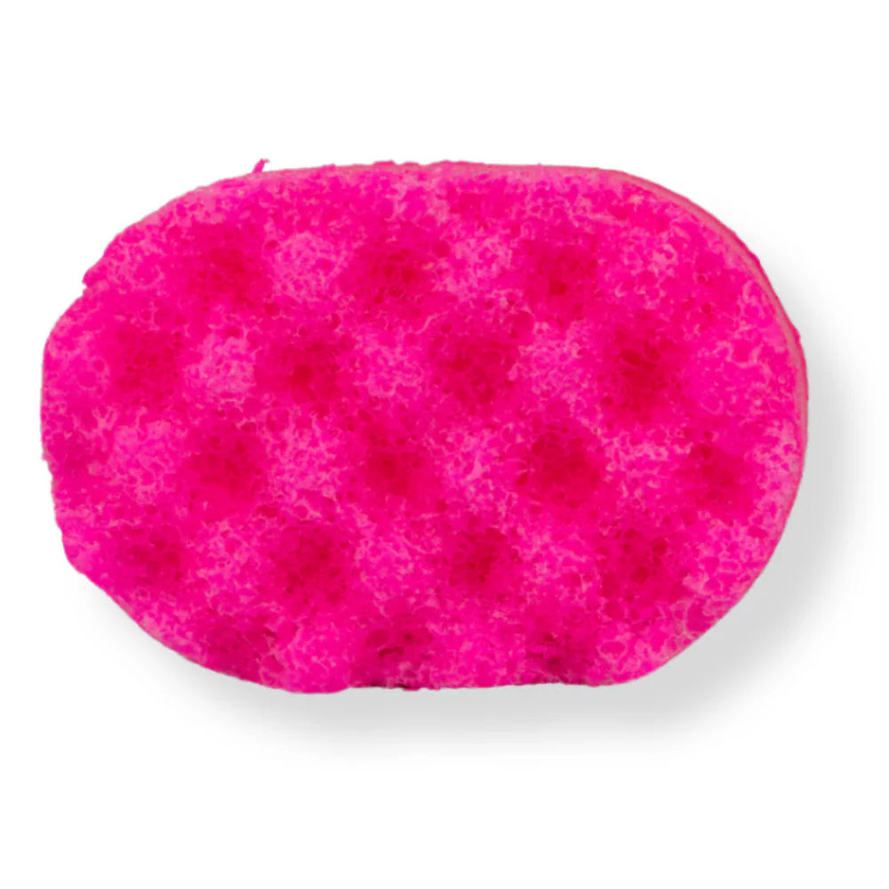 Ice Queen Mini Soap Sponge